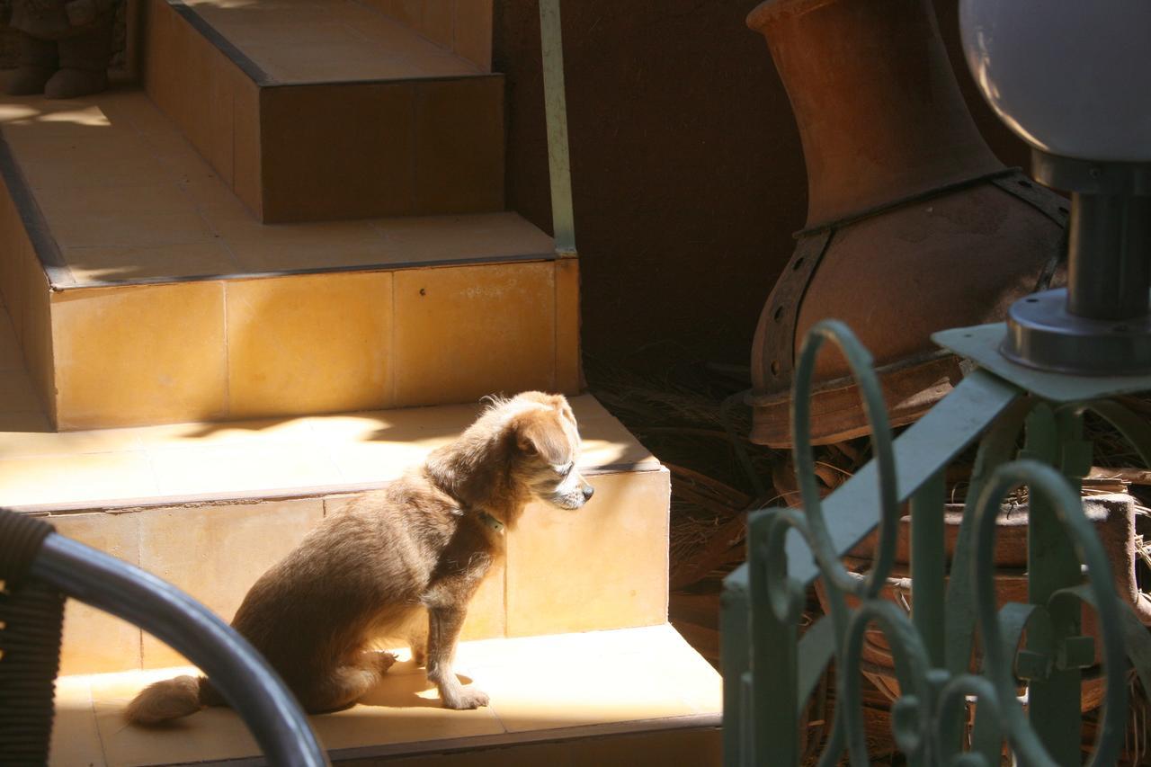 Le Temps De Vivre Bed & Breakfast Ouarzazate Eksteriør bilde